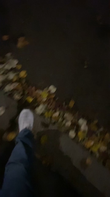 PacinoDeniro  13-11-2021